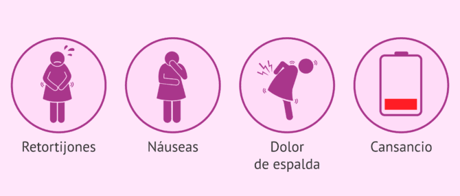 Imagen: Desarrollo del feto en la 39 semana de gestación