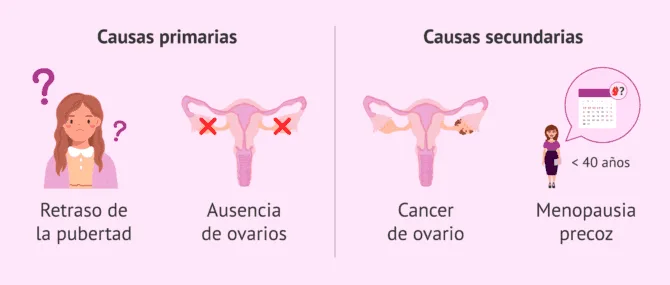 Test para saber si te va a bajar la regla best sale