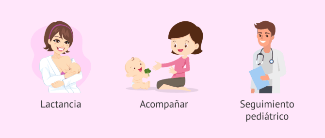 Imagen: Recomendaciones para llevar a cabo el BLW