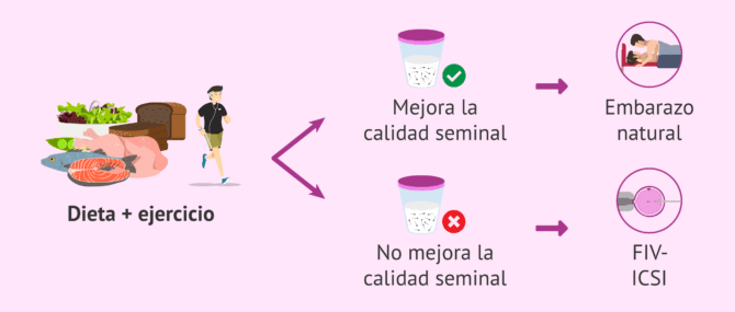 Imagen: Opciones de embarazo en hombres con obesidad