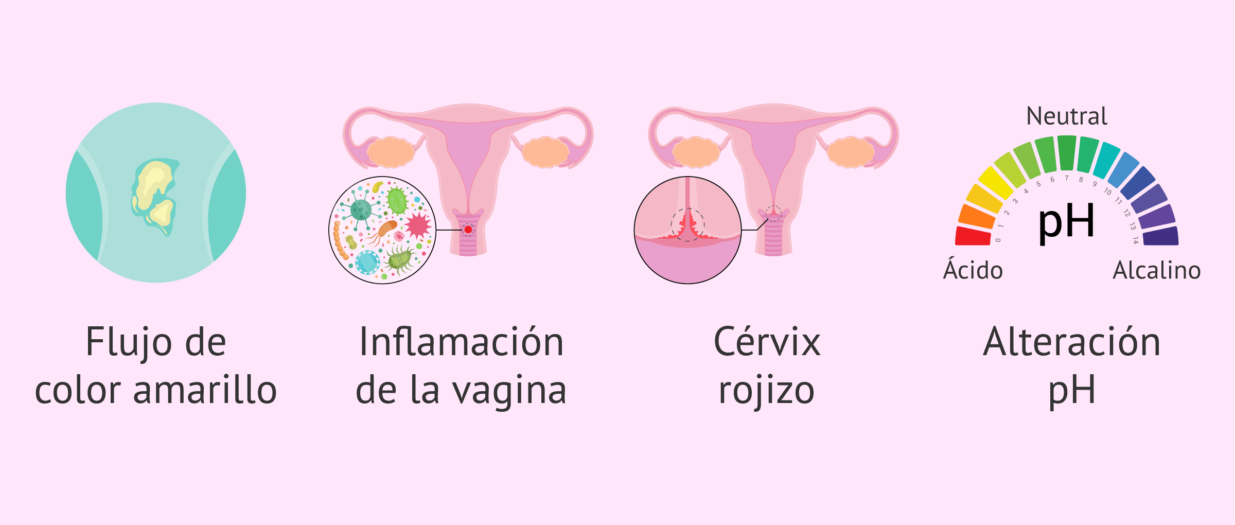 ¿Qué es la vulvovaginitis?