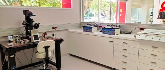 Imagen: zona destinada a la microinyección y cultivo embrionario