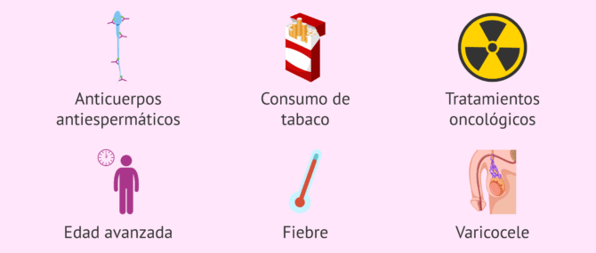 Imagen: Causas de la astenozoospermia