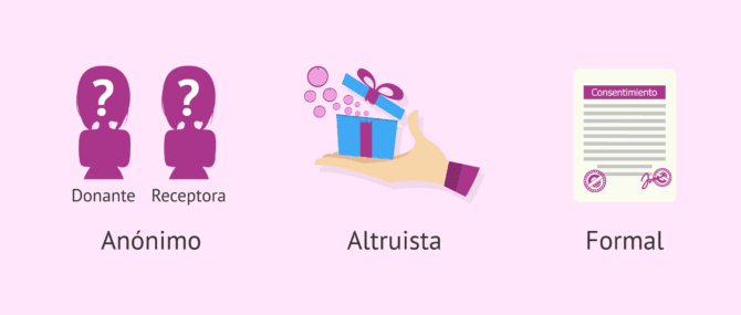 Imagen: Consideraciones legales de la donación de óvulos en España