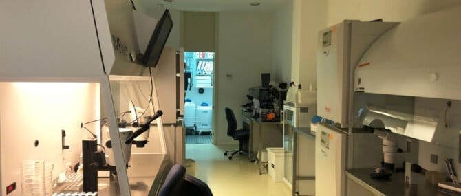 Imagen: Laboratorio de FIV en Next Fertility Murcia