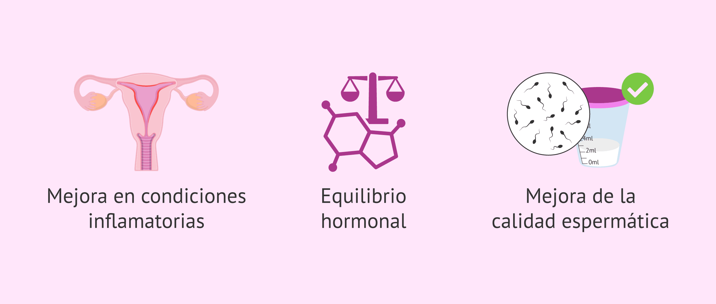 Imagen: Ventajas de la dieta antiinflamatoria para la fertilidad