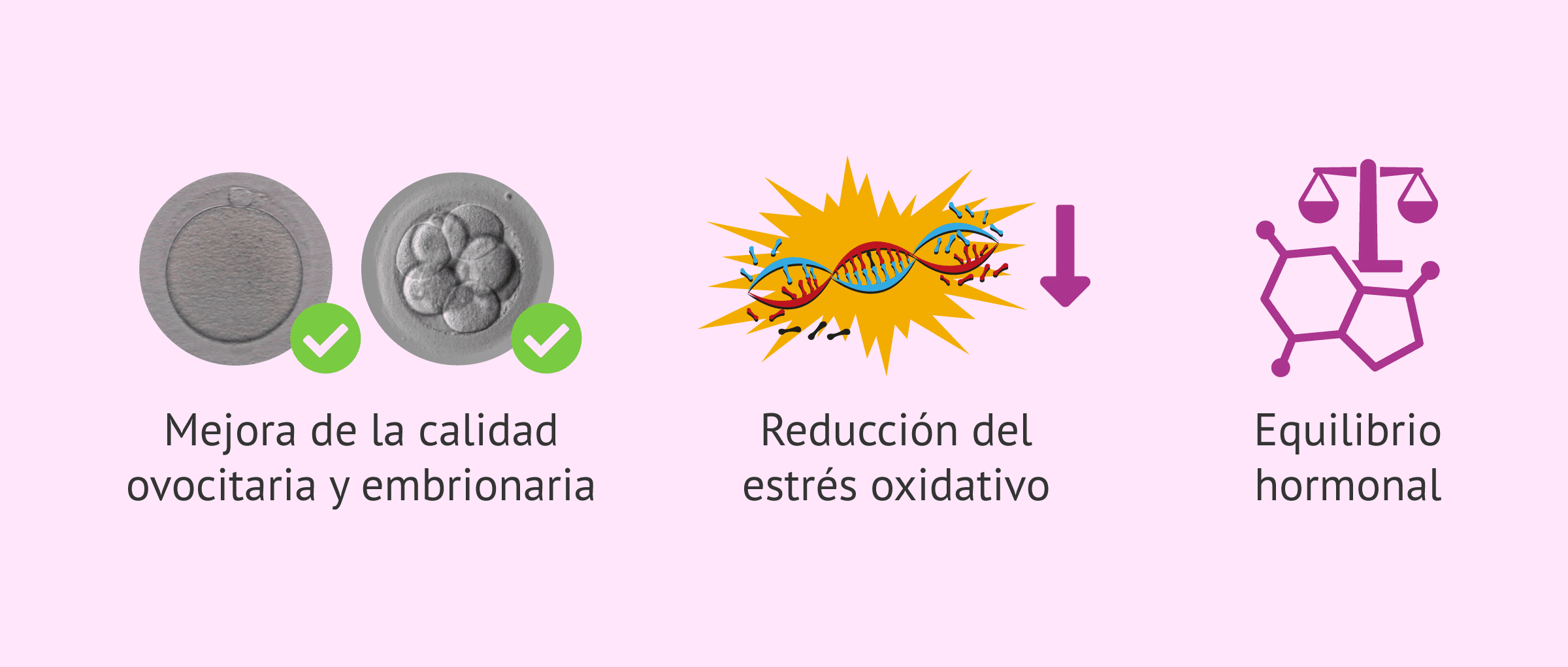 Imagen: Ventajas de la dieta mediterránea para la fertilidad