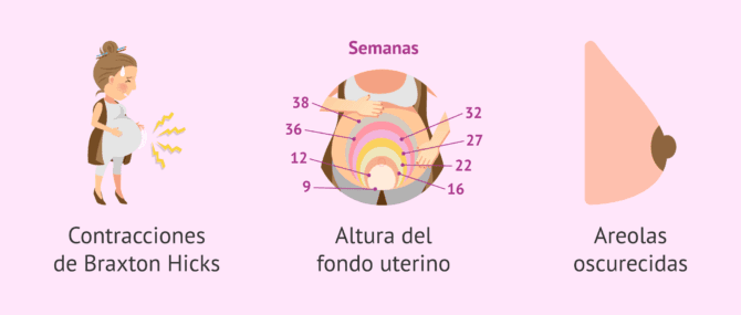clitorisclitoris 