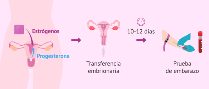 Imagen: Proceso para la receptora en ovodonación