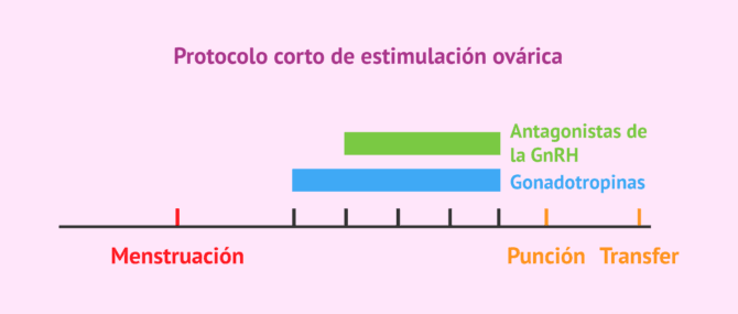 Imagen: Protocolo corto de estimulación con Orgalutran