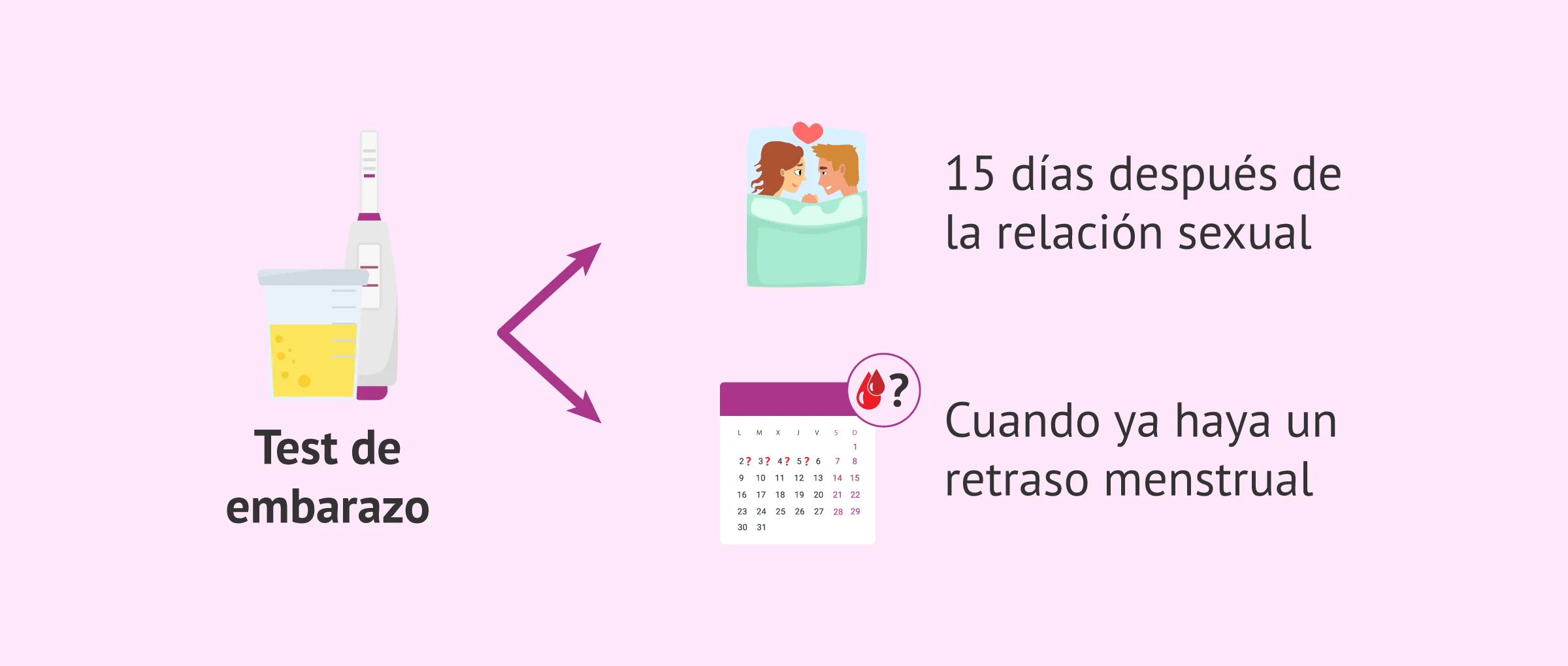 Imagen: ¿Cuándo hacer el test de embarazo?