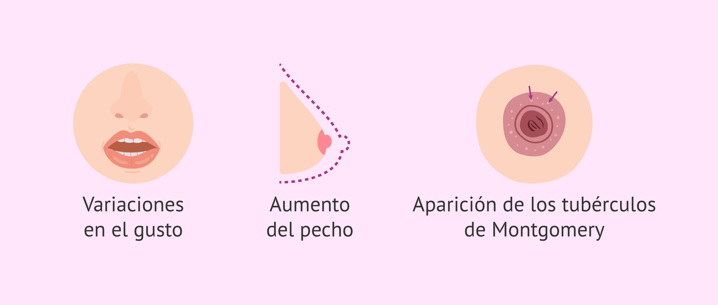 Imagen: Otros síntomas en la mujer durante el segundo mes de gestación