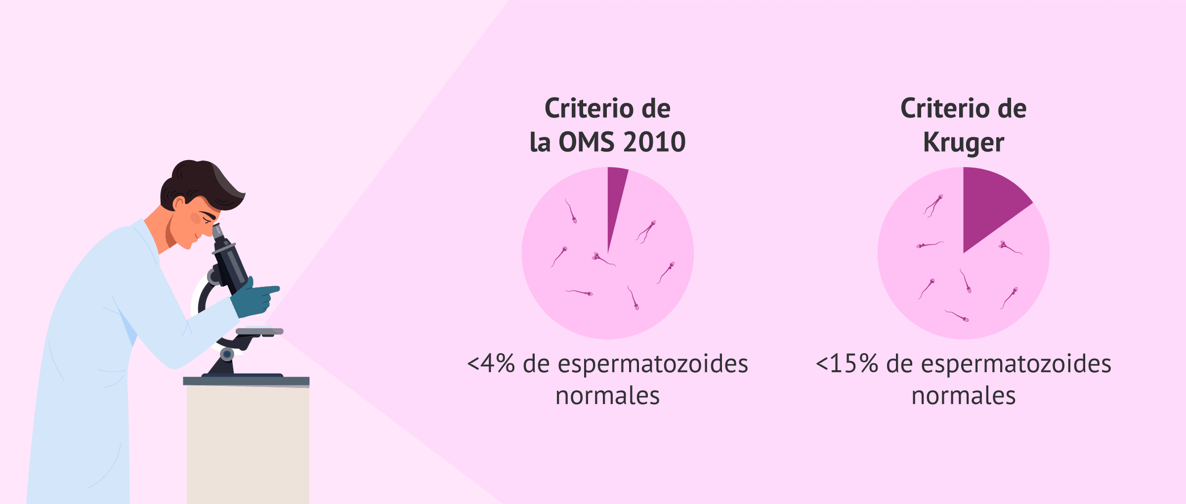 Imagen: Nivel de referencia para la morfología espermática