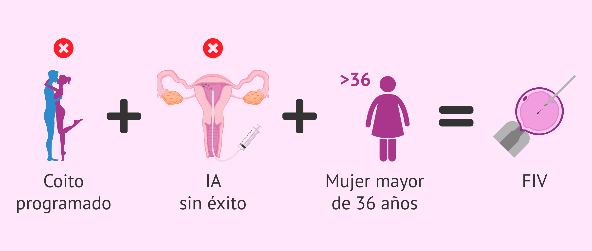 Imagen: FIV como opción de tratamiento para la EOD