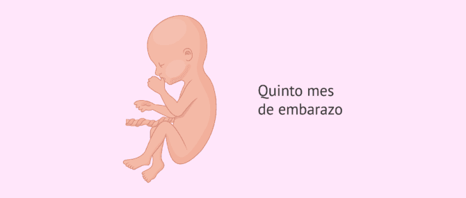 Imagen: 5 meses
