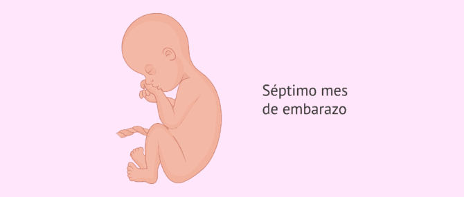 Imagen: 7 meses