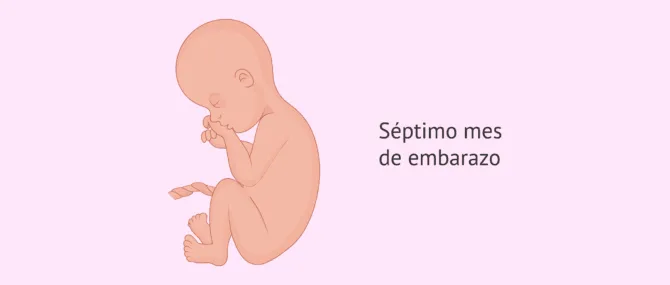 Imagen: 7 meses