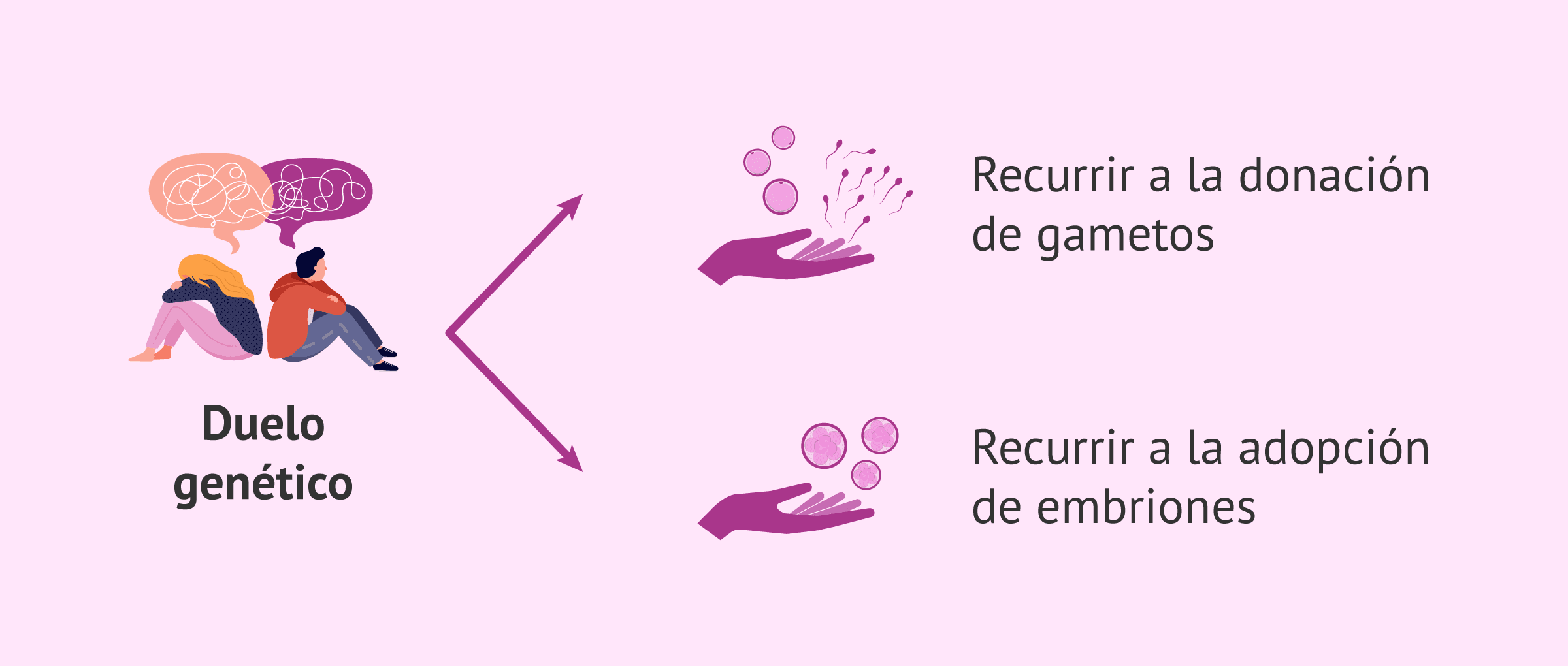 Imagen: ¿Cuándo ocurre el duelo genético?