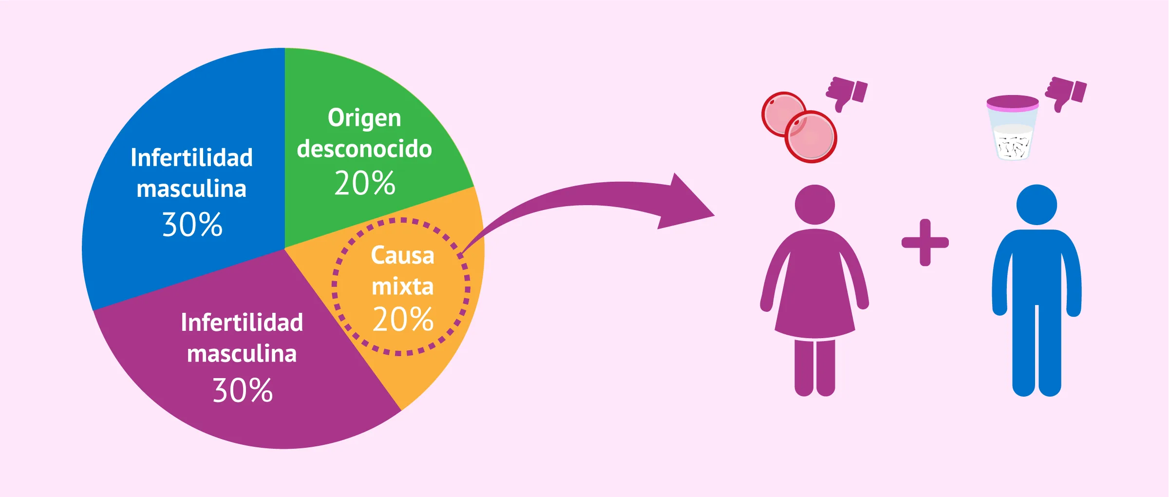 Imagen: ¿A qué se refiere la esterilidad combinada o mixta?