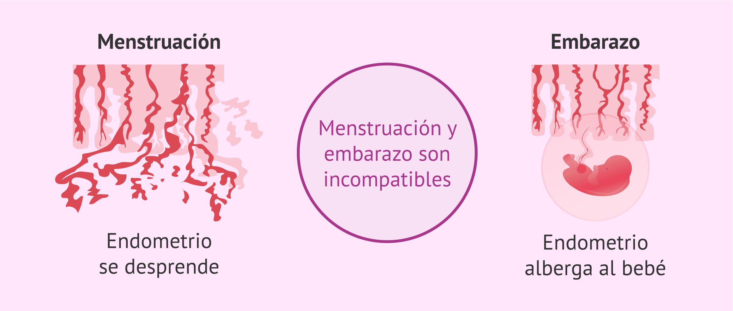 A 9 dias de la regla puedo saber si estoy embarazada 2025