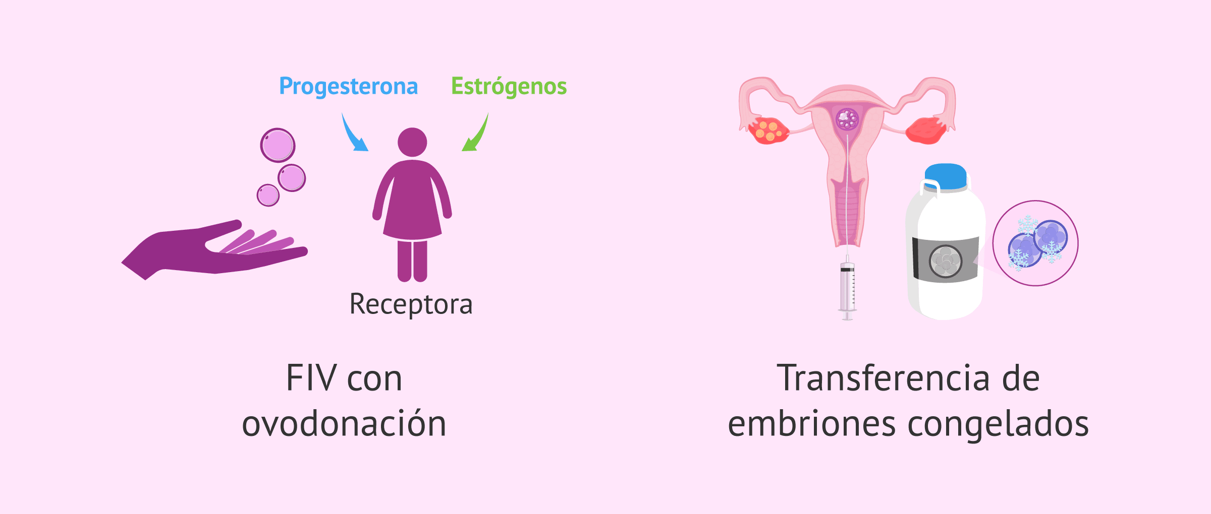 Imagen: Situaciones en las que se realiza una preparación endometrial