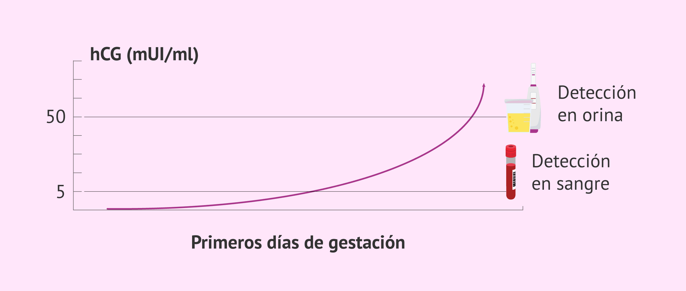 Sensibilidad de los test de embarazo deals