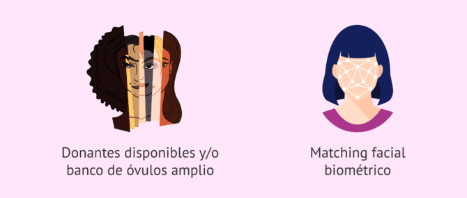 Imagen: Motivos por los que desplazarse a otra provincia para una ovodonación