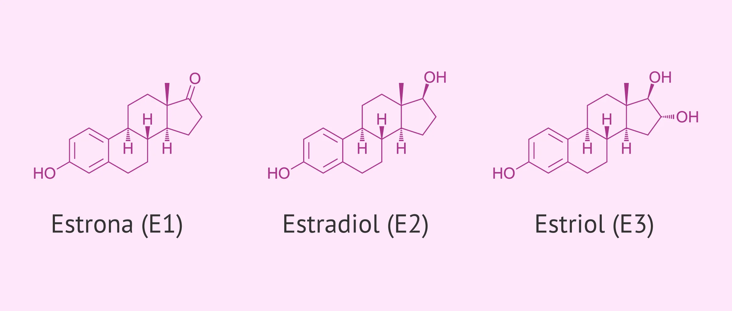 Nombres de los diferentes tipos de estrógenos