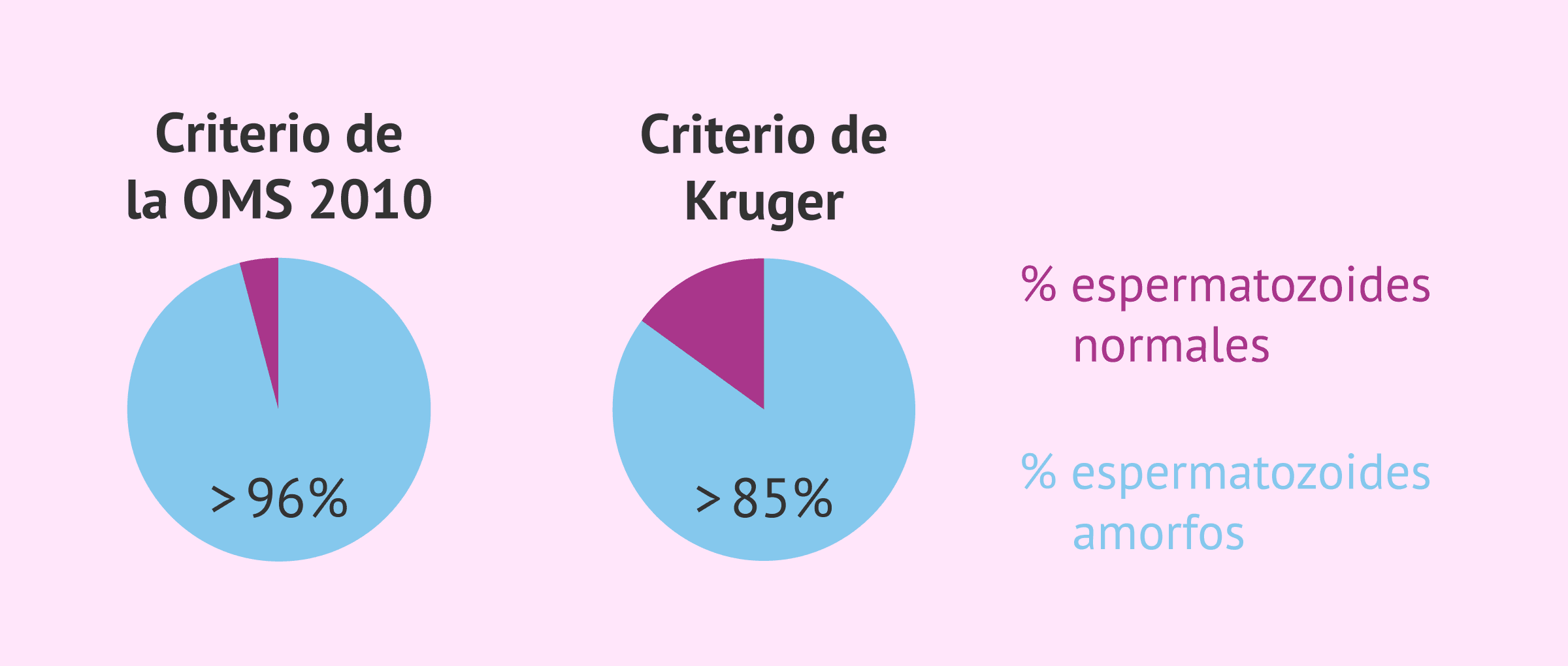 ¿Qué son los criterios de Kruger?