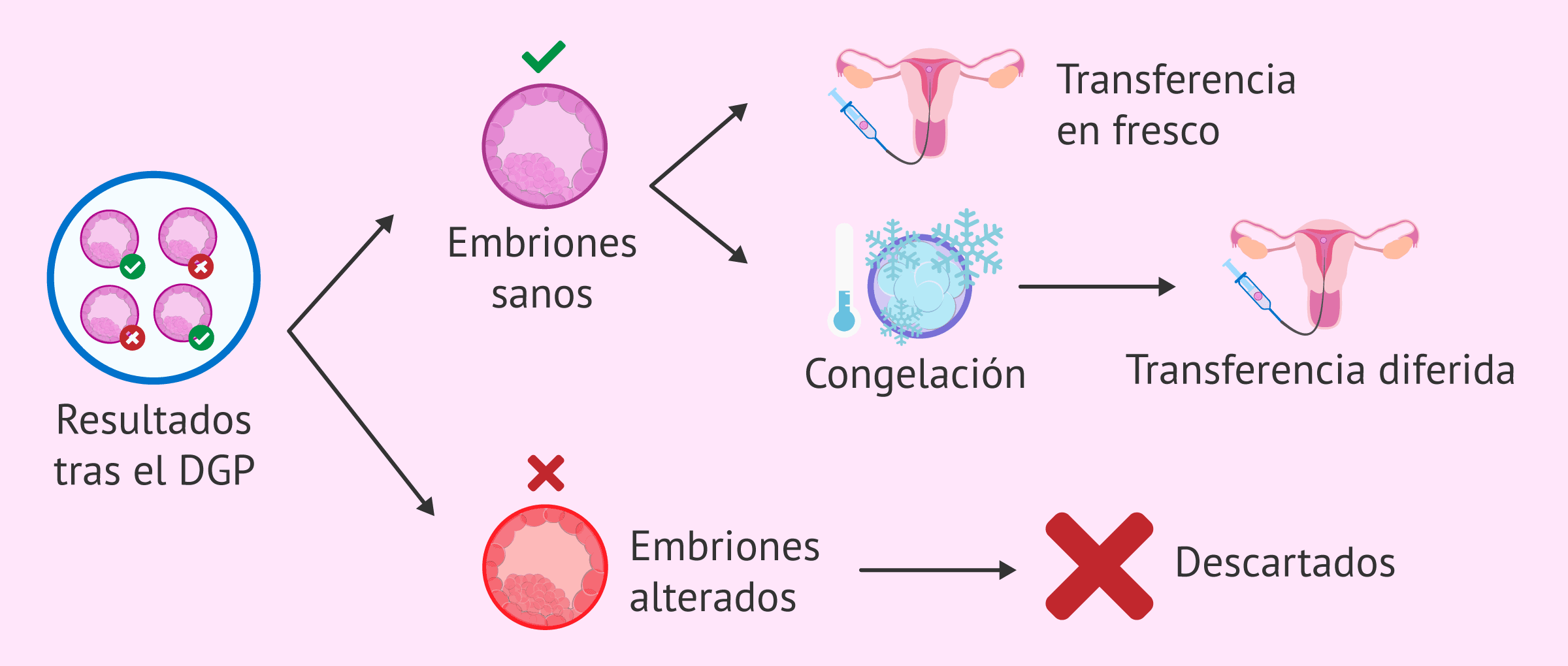 Imagen: Destino de los embriones tras el DGP