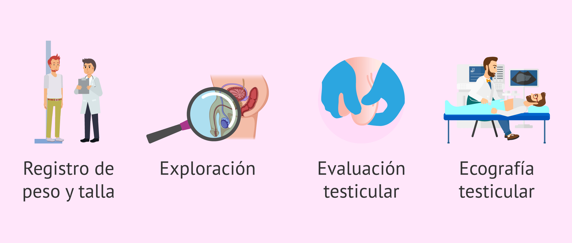 Imagen: ¿Cómo es la exploración física en el hombre?