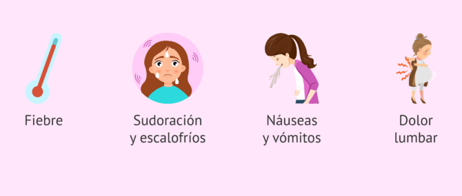 Imagen: Síntomas de pielonefritis en el embarazo