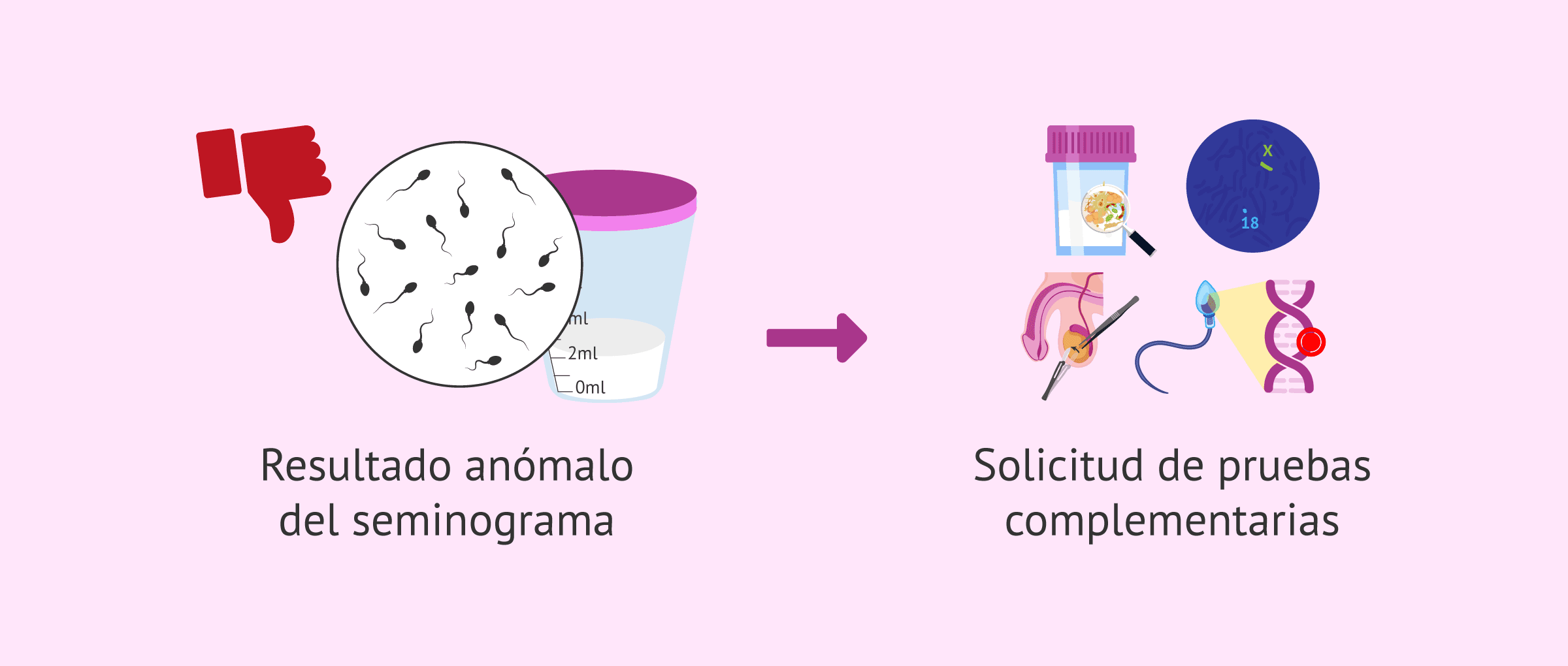 Imagen: Pruebas complementarias cuando el seminograma está alterado