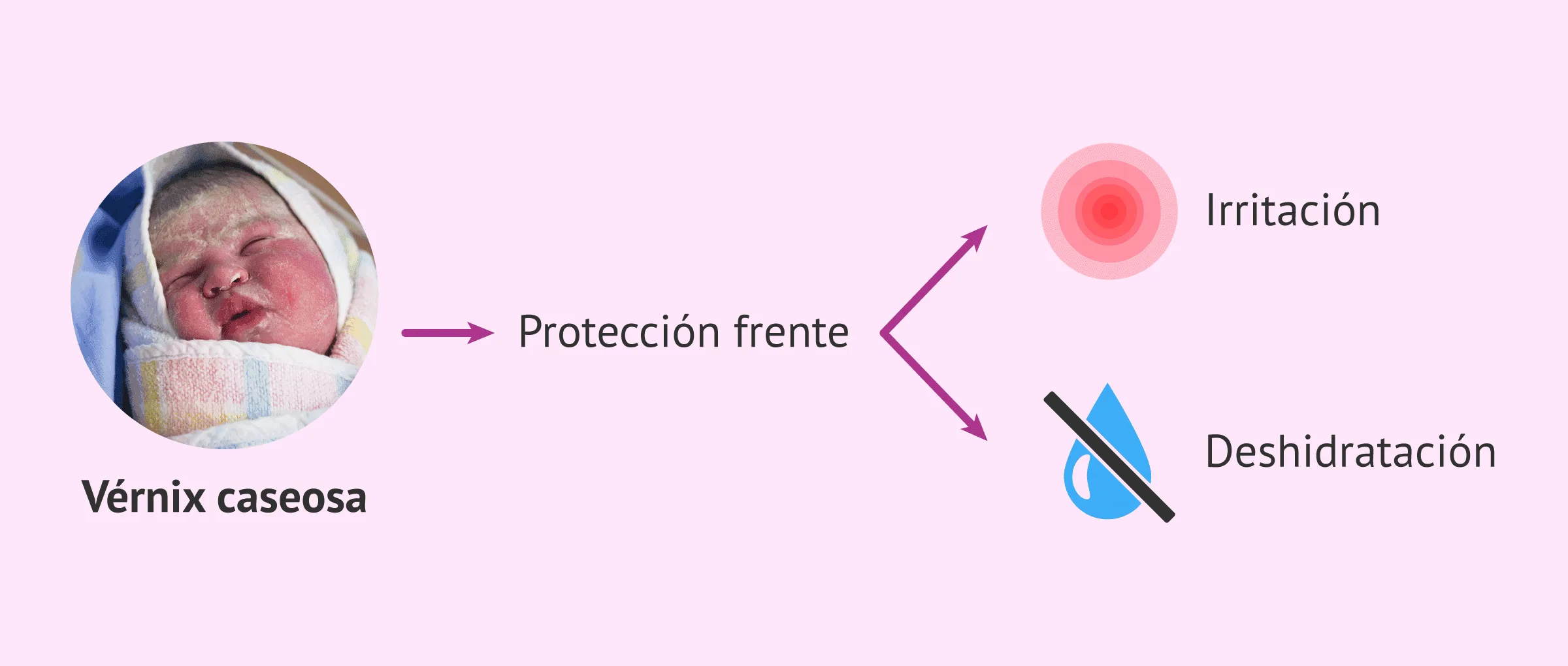 Imagen: Desarrollo del bebé de 5 meses