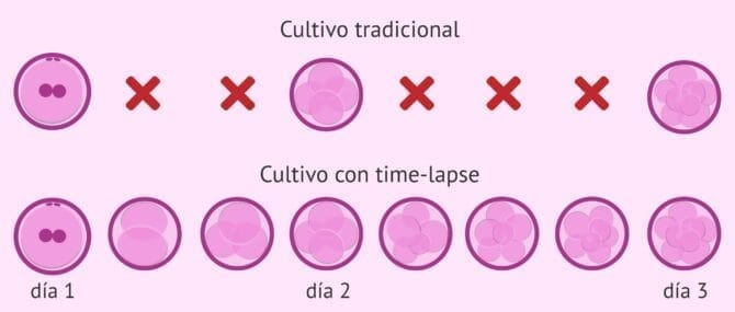 Imagen: Elección del mejor embrión