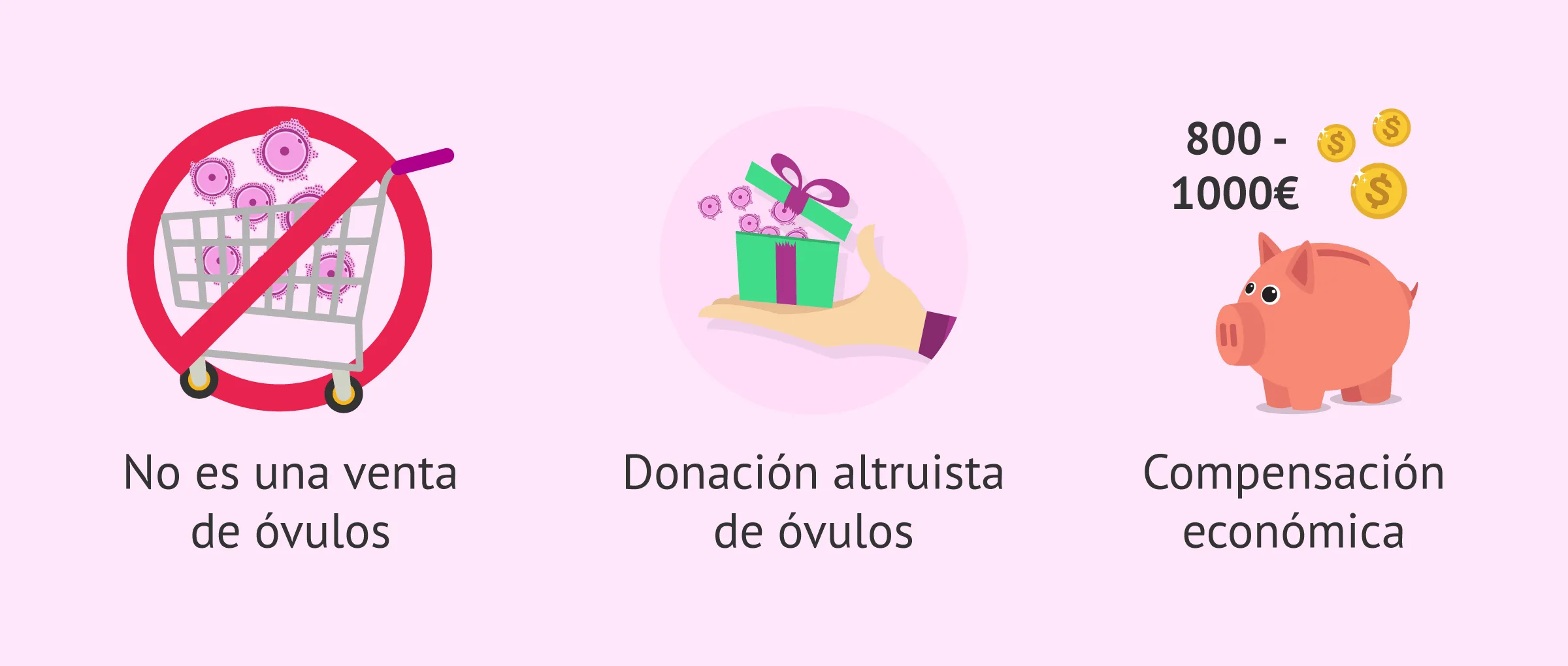 Imagen: Donar óvulos