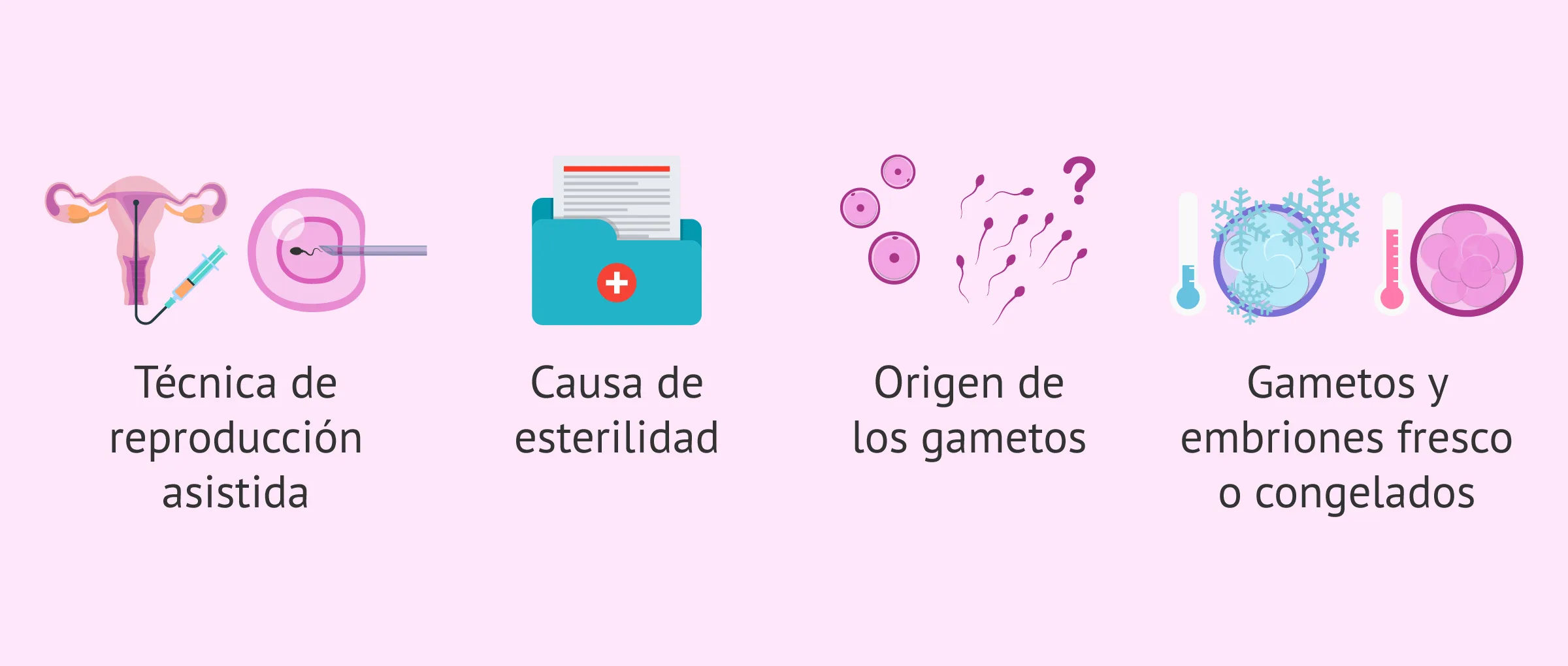 Imagen: Factores implicados en el éxito de los tratamientos de fertilidad