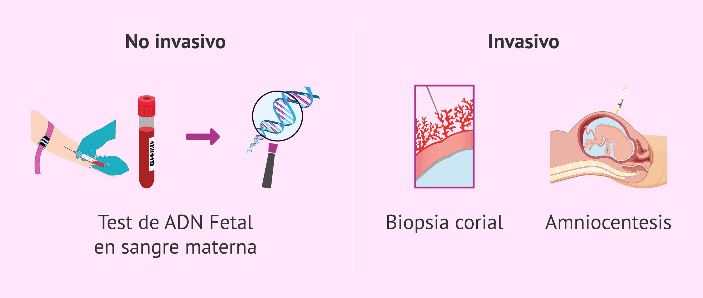 Imagen: Diagnóstico prenatal de la hemofilia