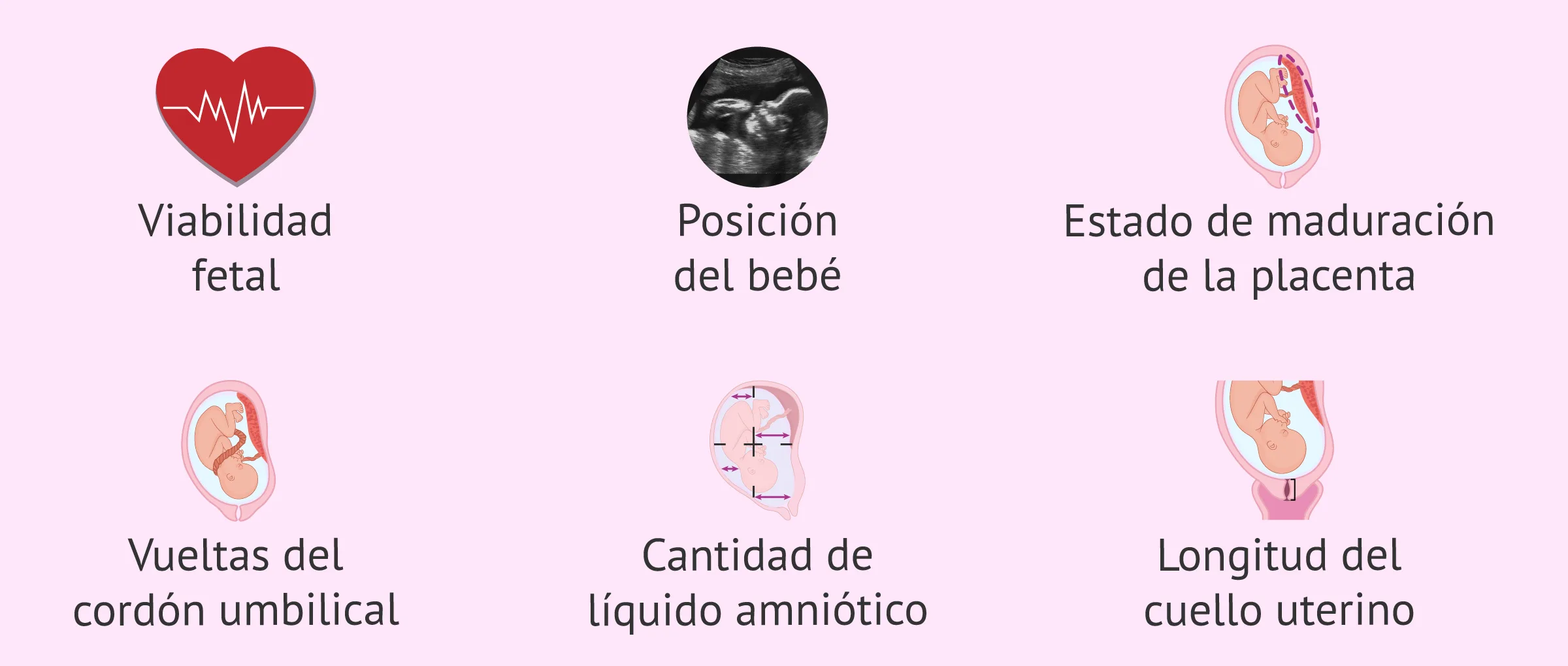 Imagen: Revisión ecográfica en el 9.º mes de embarazo
