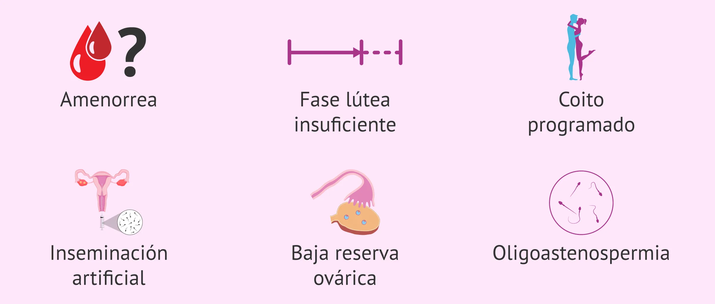 Imagen: Indicaciones para el uso de Omifin