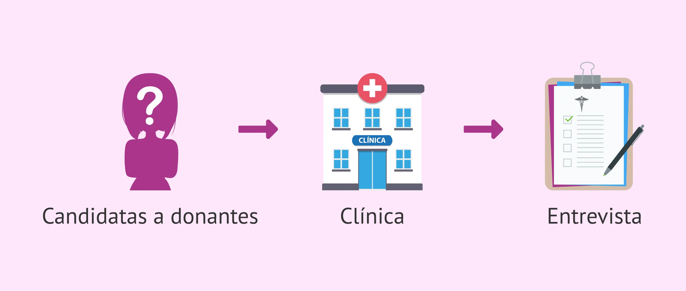 Imagen: Primera visita informativa para donar óvulos