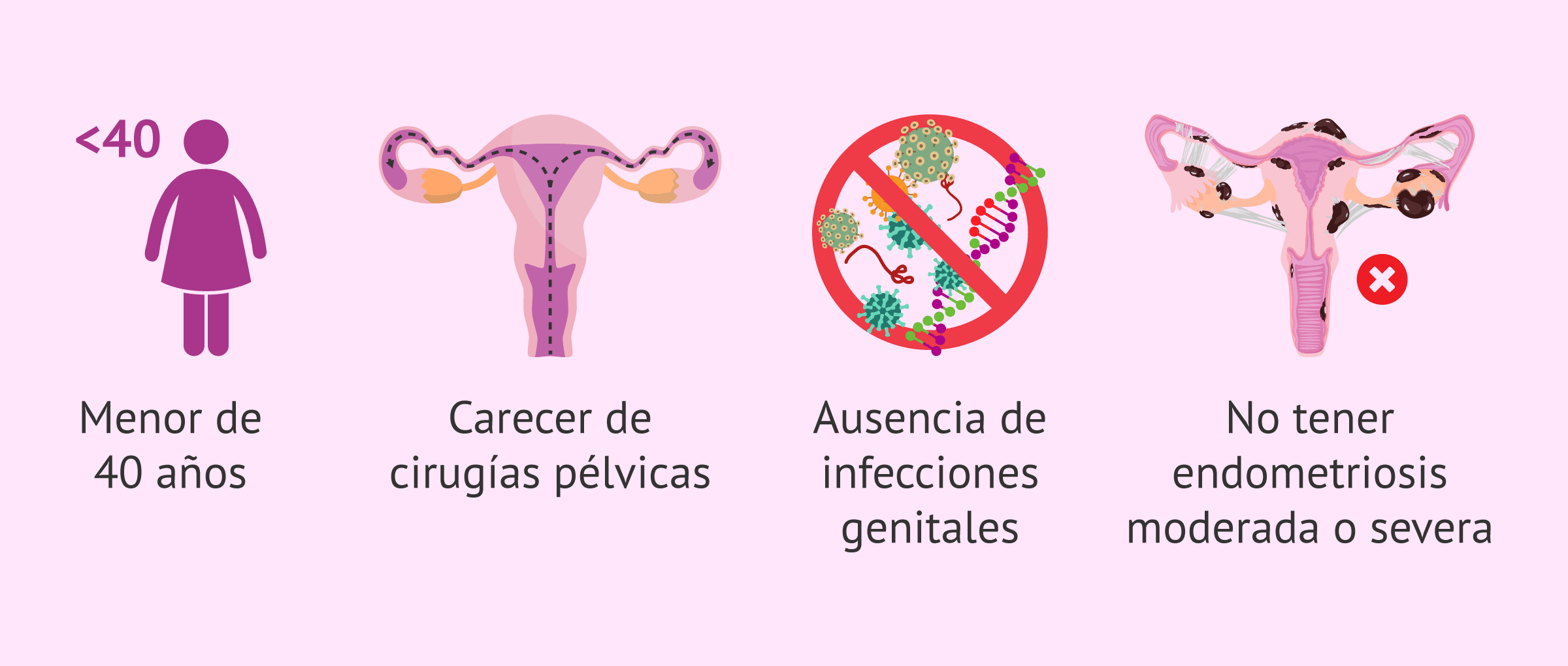 Imagen: Requisitos para la IA en mujeres sin pareja masculina