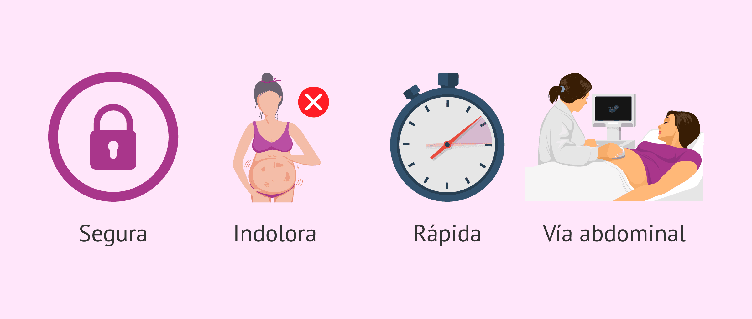Imagen: Características de la ecografía fetal del segundo trimestre