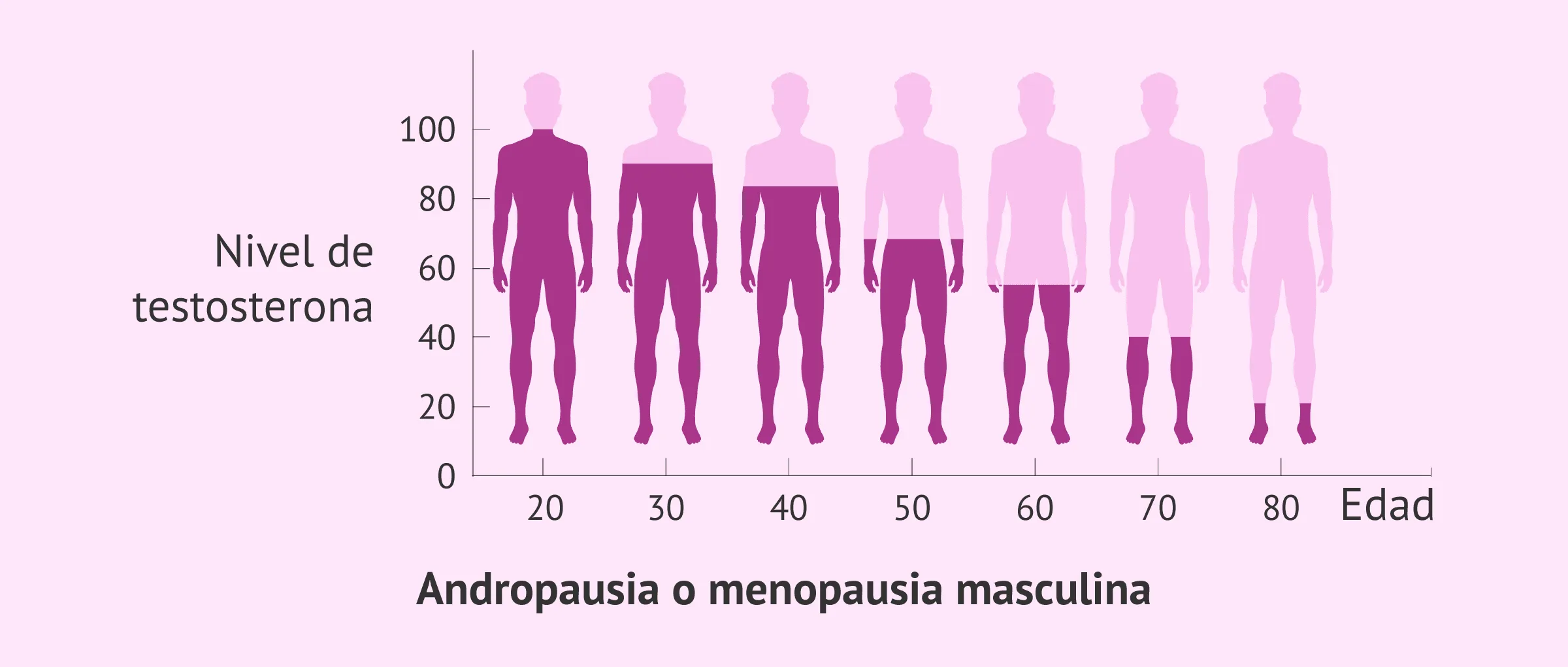 Imagen: Menopausia masculina