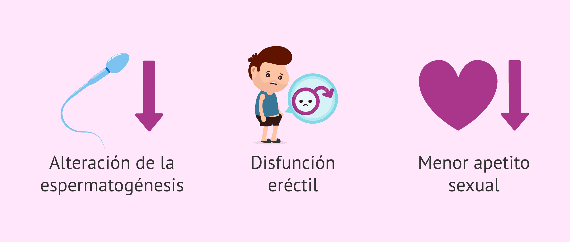 Imagen: Efectos del estrés sobre la calidad seminal