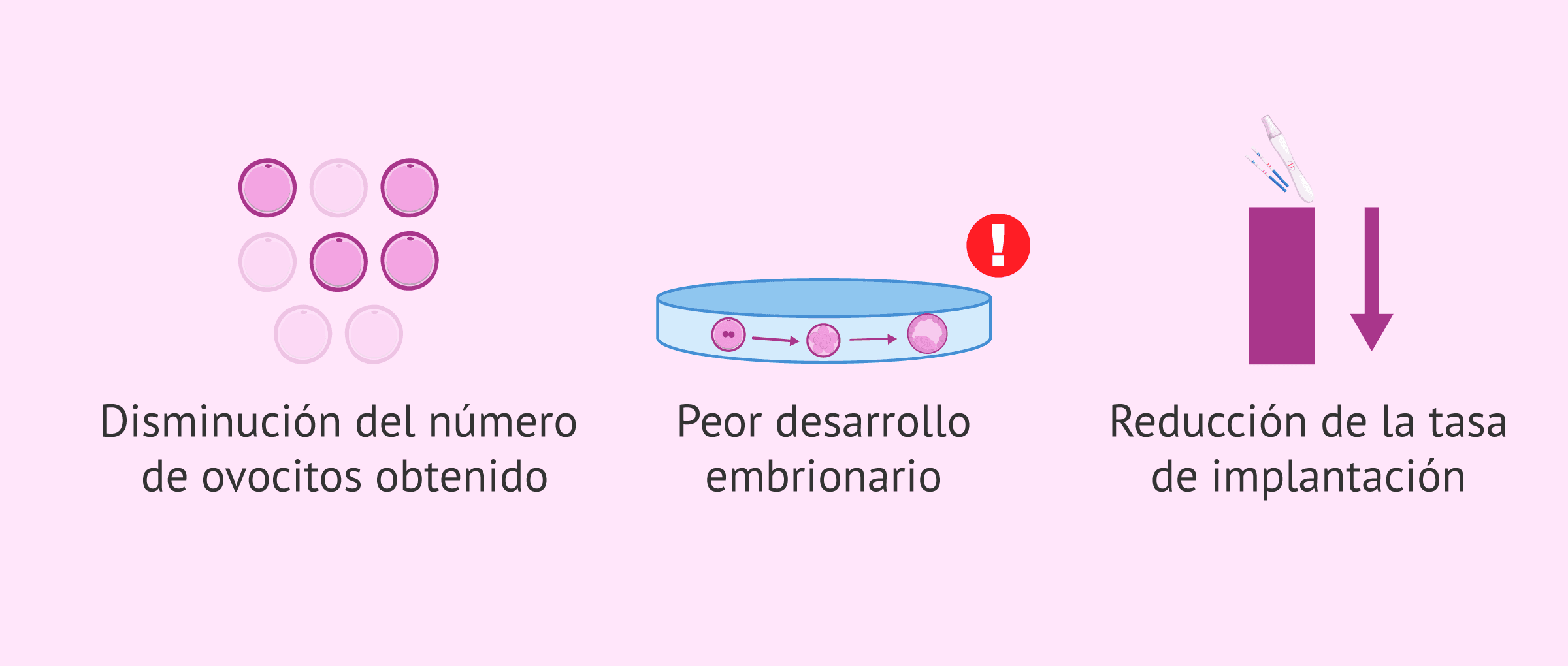 Imagen: Efectos de beber mucho alcohol sobre los tratamientos reproductivos
