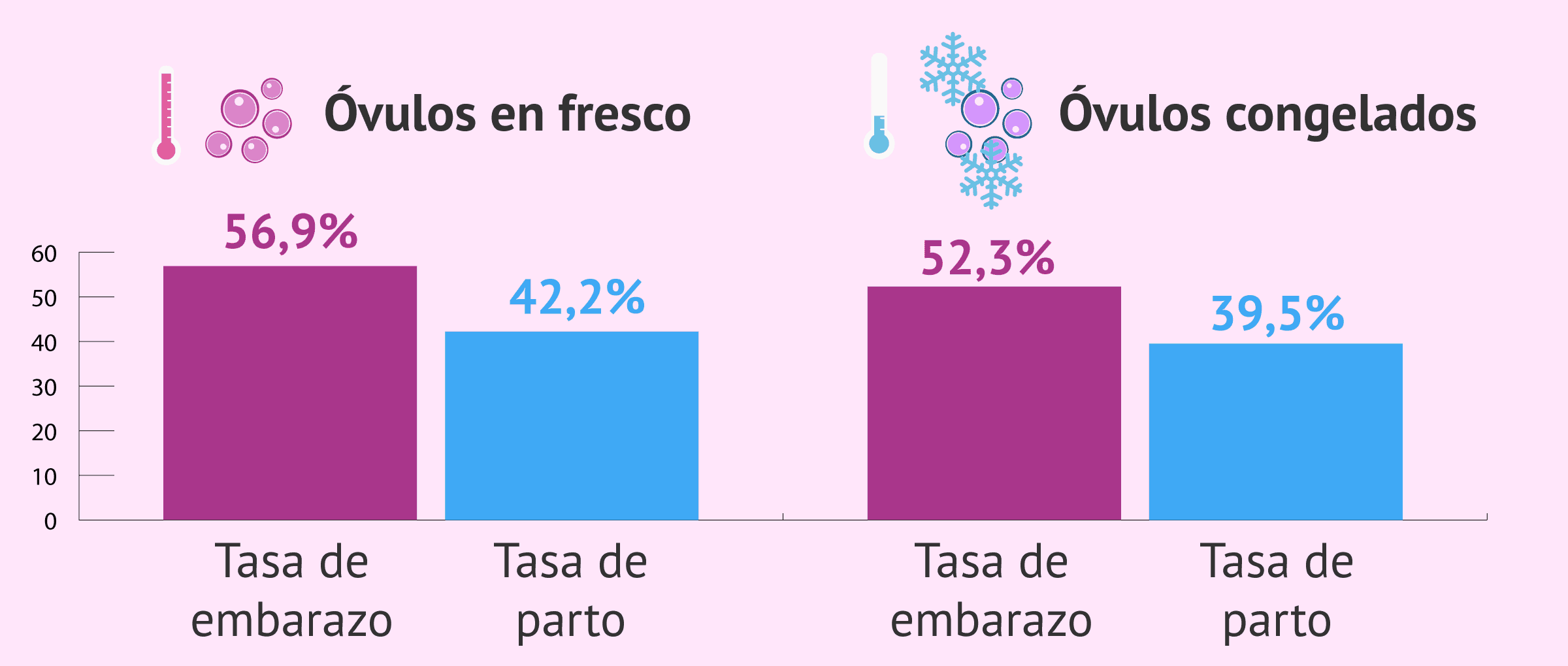 Imagen: Tasas de ovodonación