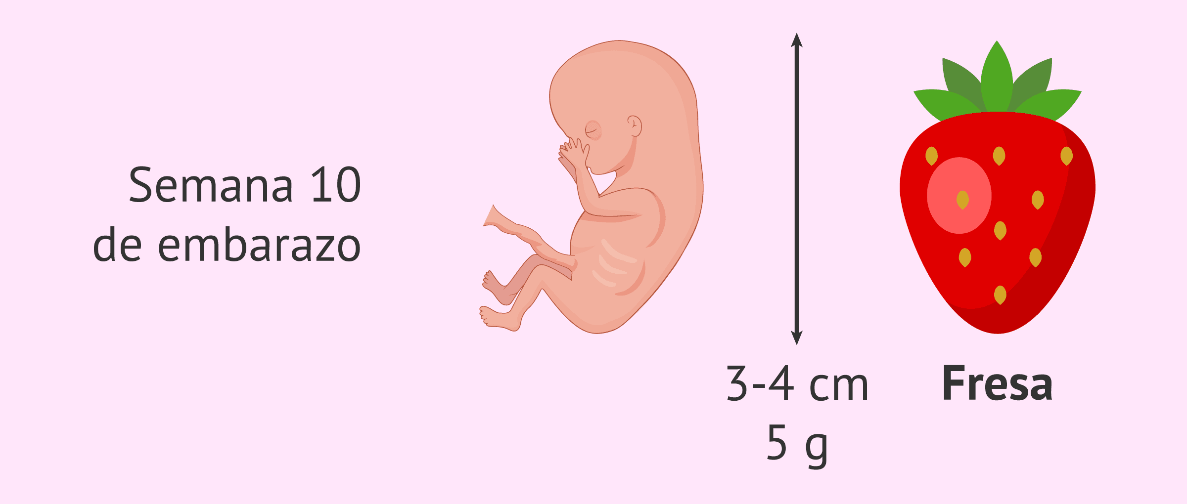 Bebe de 3 semanas outlet