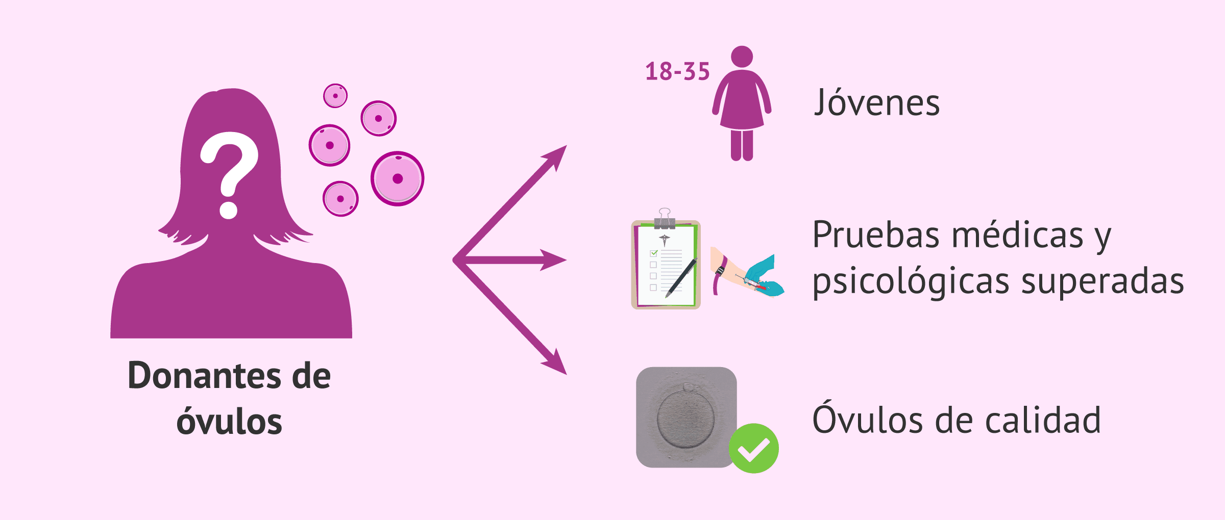 Imagen: Motivo de la elevada tasa de éxito de la ovodonación