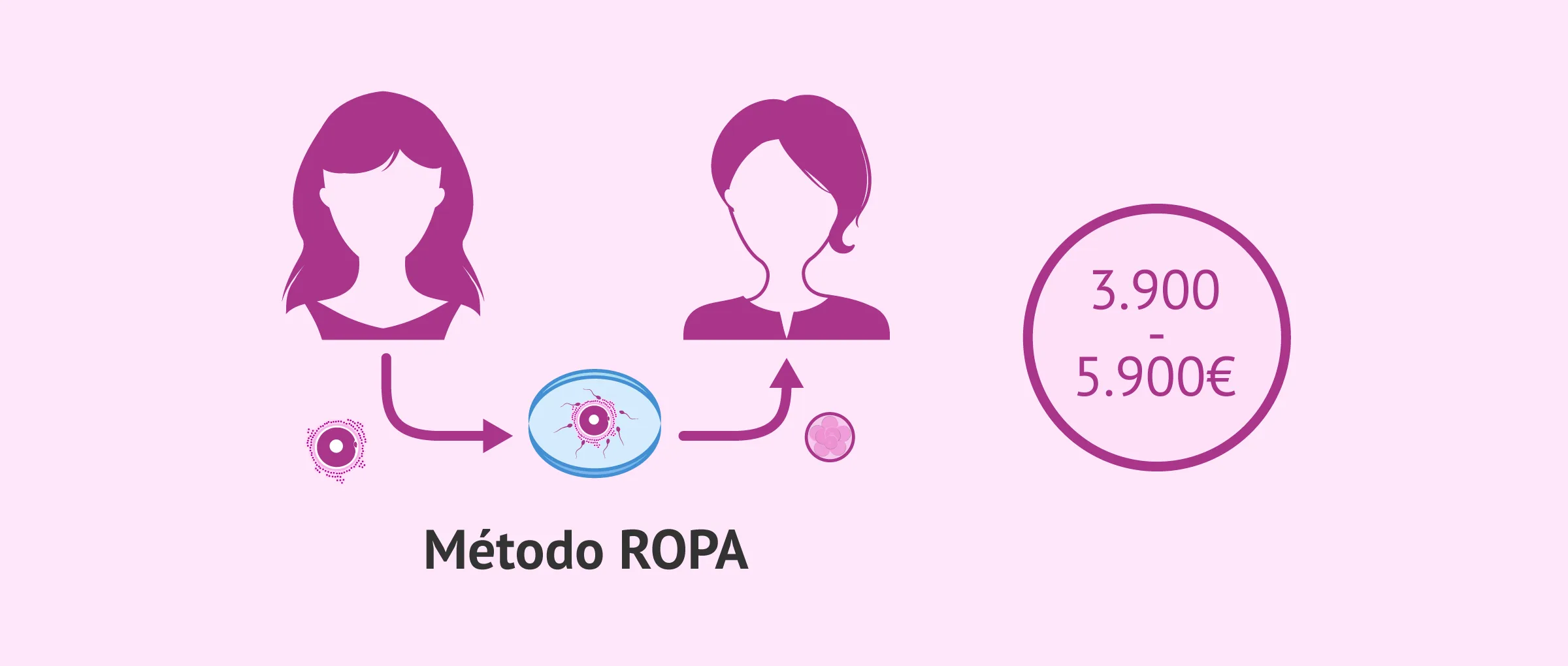 Imagen: Proceso y coste del método ROPA